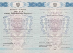 Диплом техникума-колледжа с 2011 по 2013 годы